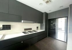 Nassim Park Residences (D10), Condominium #453272321